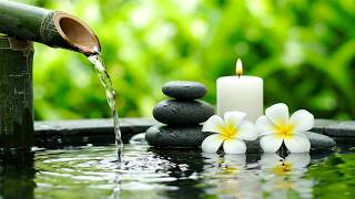 Harmonious Zen Piano Music for Healing Rest and Deep Calm 自然の音とともに音楽をリラックス バンブーウォーターファウンテン 【癒し音楽BGM】