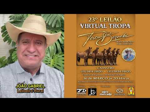 LEILOEIRO JOÃO GABRIEL - 23° LEILÃO TROPA TERCIO BARNABÉ - 16 de MARÇO (Segunda-feira) às 20 horas
