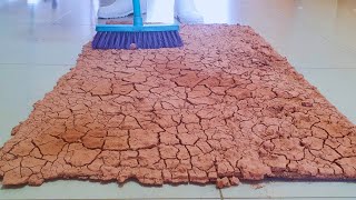 You've never seen a carpet so dirty/full of terrible mud -ASMR Rug cleaning