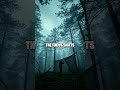 Edge of the Wild Practical Essentials