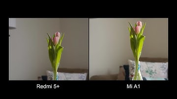 Xiaomi Redmi 5 Plus vs Xiaomi Mi A1 Lowlight Camera Comparison ?
