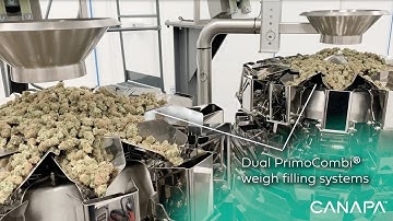 Dual Cannabis Jar Filling & Case Packing System