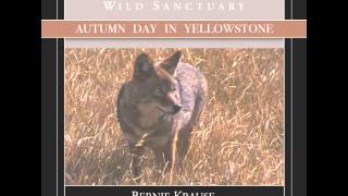 The Global Soundscape Project™: Autumn Day in Yellowstone