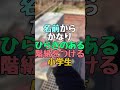 【小学生あるある】『TikTokで200万再生!!!!4年1組しの丸くんの小学生あるある⑯』【高校生】#Shorts