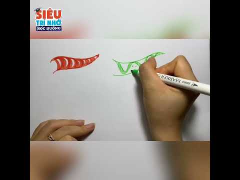 Video HƯỚNG DẪN CÁCH VẼ NHÁNH ĐƠN GIẢN - SƠ ĐỒ TƯ DUY - youtube