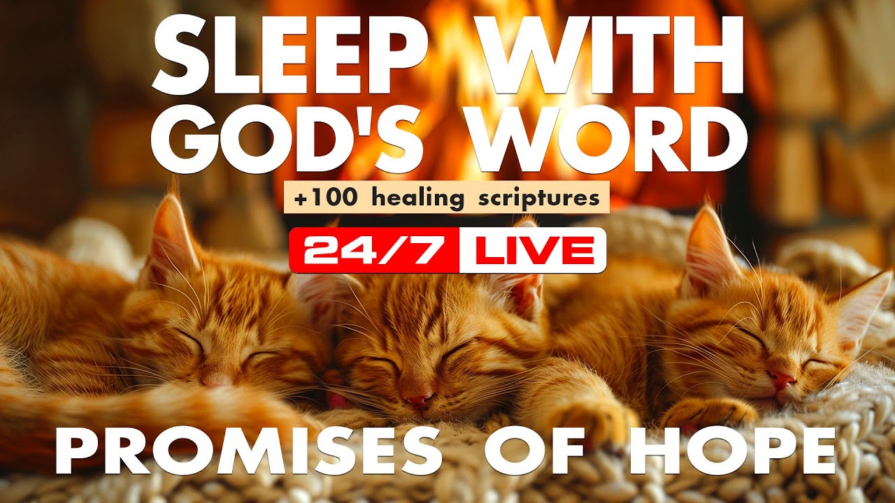 Calm arrives without instruction. Bible reading for sleep steadies attention.