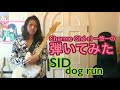 「dog run/SID」ギター弾いてみた🎸【guitar cover】