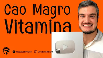 Como tratar cachorro muito magro?