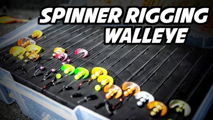 How to Spinner Rig for Walleye (Advanced Tips) 