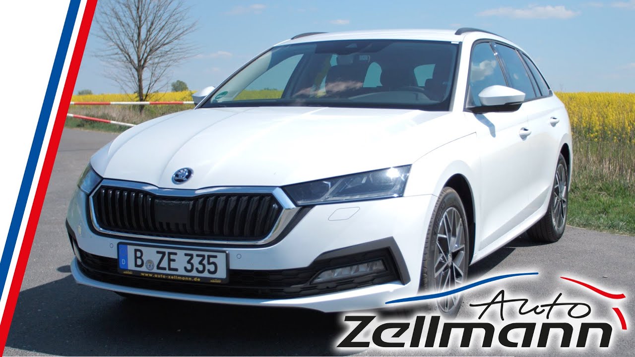Skoda Octavia 2020 - der bessere Superb? | auto-zellmann.de