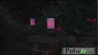 Color Scan Pillar Candles