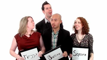 Opera Cheats: What the Fach?!?