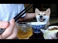 パパが起きて出勤するまで Things Before Dad leaves for work