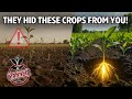 ☠️ DEAD SOIL MIRACLE - These 5 Plants Are Soil CPR (2025 SHOCKER)