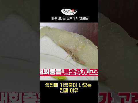 구더기 자연발생설 못지 않은 논쟁 #shorts