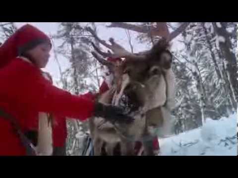 Видео: До Финландия до Дядо Коледа