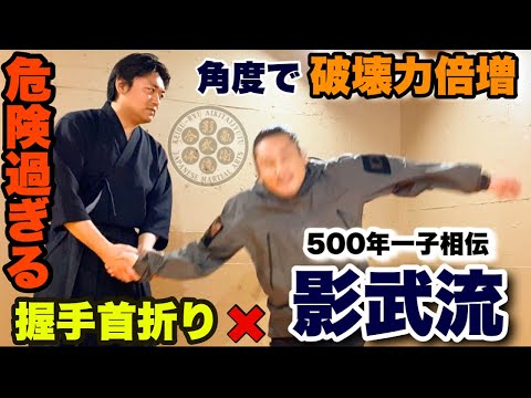 「握手で首を折るウェイブ」に「影武流体術」を+したら危険な技が誕生しました..