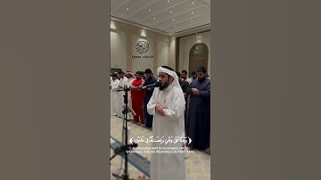 ما تيسر من سورة لقمان #عمر_عبدالعزيز