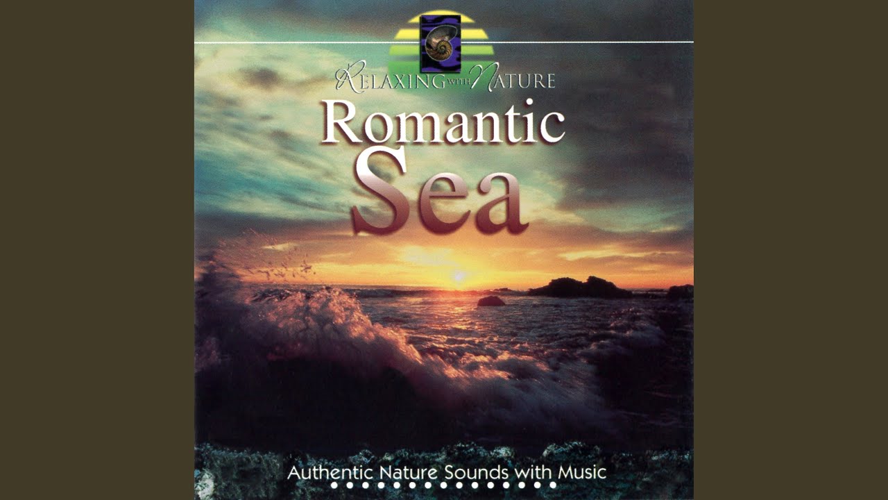 Watch Seabirds on YouTube Watch Seabirds on YouTube