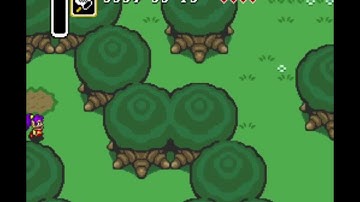 Super Metroid/A Link to the Past Combo Randomizer: Shantae Shenanigans Special