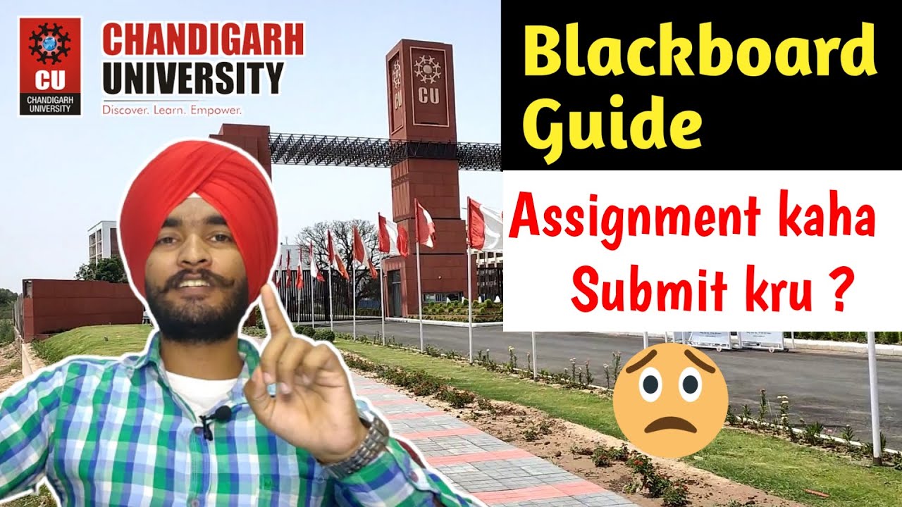 assignment first page chandigarh university