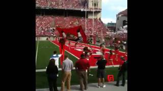 THE Ohio State University Cheer Squad