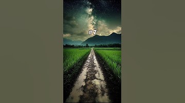 Choose a Path For a Walk 😌💖💫 #walking #vibes #aesthetic #nostalgia #chill