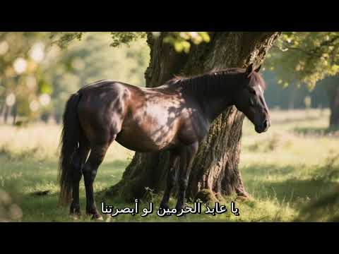 يا عابد الحرمين لو أبصرتنا