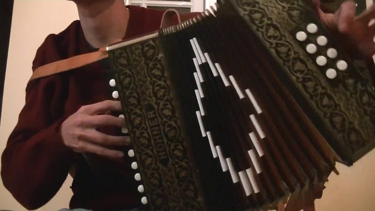 GALLO SAPUCAY - Acordeon 2 hileras 8 Bajos