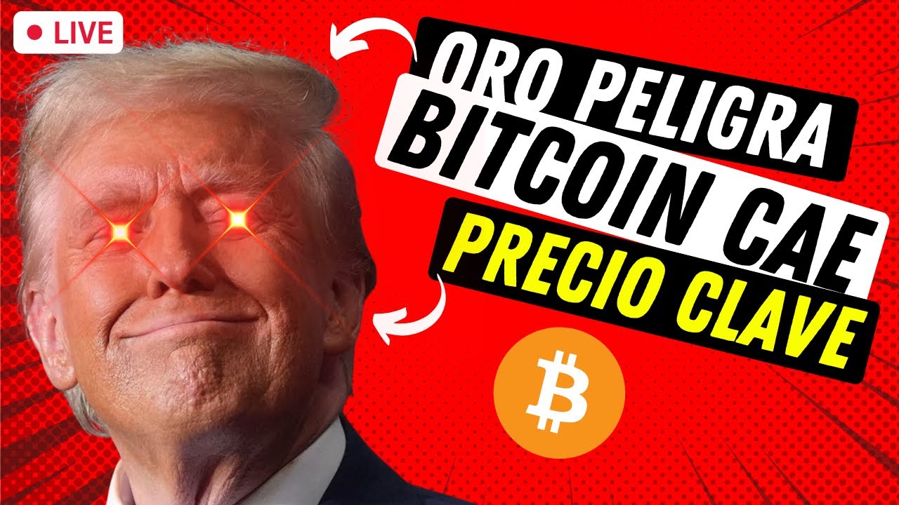 🔴 EN VIVO: Qué está pasando con Bitcoin HOY Análisis del Oro y la Plata ...