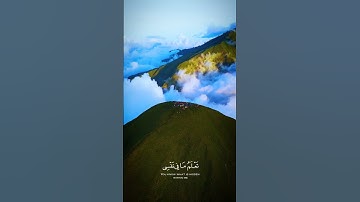 ليطمئن قلبك 🌼💛 || تلاوة خاشعة للقارئ ياسر الدوسري