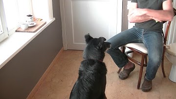 frank renders/lesson4/Ex4.1/shape head dip