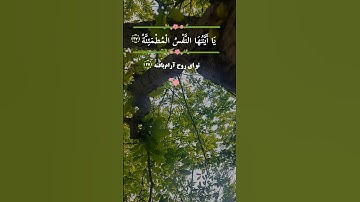 🔹️آیه ۲۷ تا ۳۰ سوره فجر🔹️قاری:محمد صدیق منشاوی 🔸️ترجمه فارسی از مکارم شیرازی #allah #الله #قرآن