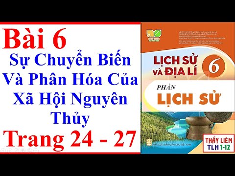 Video: Sự Phân Hóa Xã Hội Là Gì