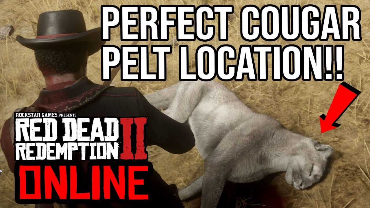 How to get perfect cougar pelt rdr2