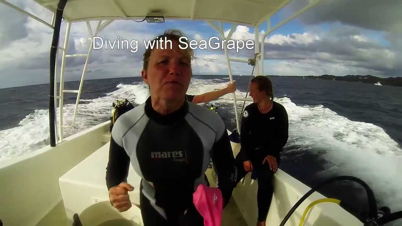 Scuba Diving with Seagrape Dive Shop, Roatan Bay Islands YouTube