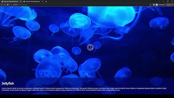 How to Create a Fullscreen Video Background with Play/Pause Buttons HTML, CSS, and JS #webdesign
