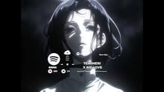 BREAKBEAT TERI MERI X RIP LOVE