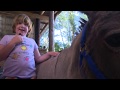 A rescue donkey and a girl with autism form a special bond in Castle Rock