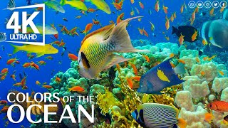 The Best 4K Aquarium for Relaxation II  Relaxing Oceanscapes  Sleep Meditation 4K UHD Screensaver