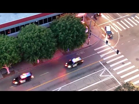 Numerous Police Cars Deployed During Protest in Los Angeles