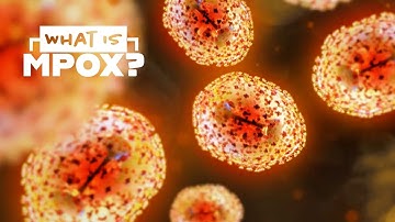 Mpox Explained (formerly Monkeypox)