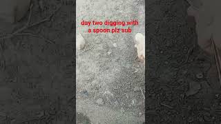 daytwo digging with a spoon #digging #diggingdeep
