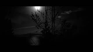 SOAR - NON SEQUITUR Becoming The Agony Without The Final Act (OFFICIAL VIDEO)