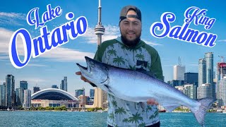 Lake Ontario King Salmon