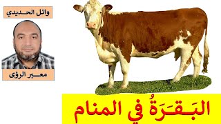 تفسير حلم البقرة في المنام / البقرة في الحلم/  للمفسر: وائل الحديدي