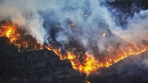 Bloomberg Green Summit: The Road to Net Zero