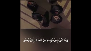 تلاوت روزانه قرآن با ترجمه تصویری – سوره بقره – صفحه 15 | Quran Kareem