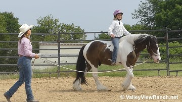 Ozzy - bareback lay down! - ValleyViewRanch.net
