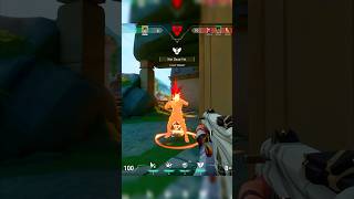 Eco ACE #valorant #ace #sayitback